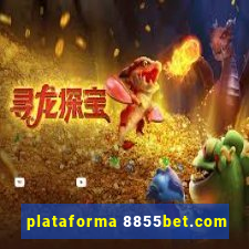 plataforma 8855bet.com